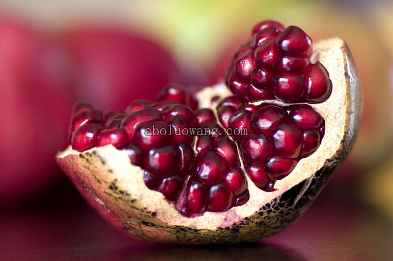 POMEGRANATE2.jpg