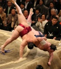 日本相撲力士平均壽命短