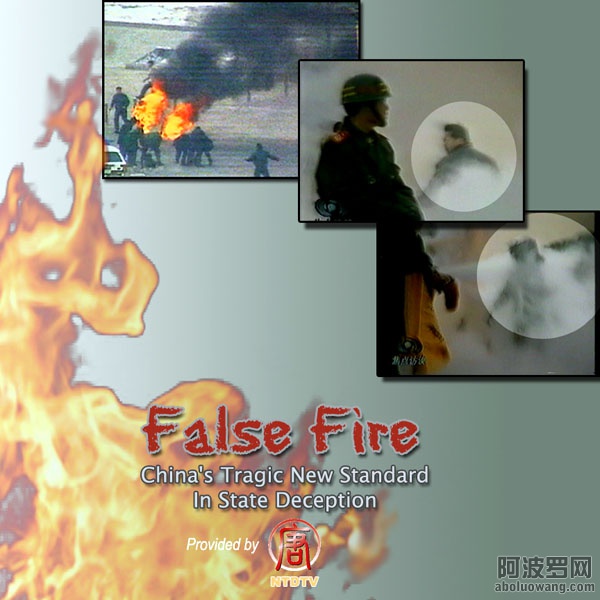 2005-2-8-falsefire-dvd.jpg