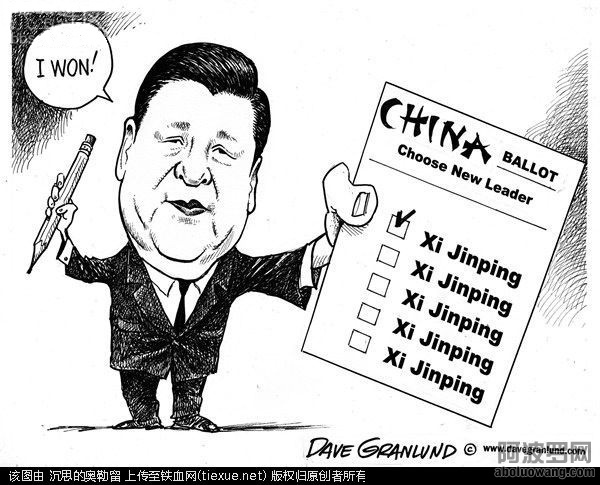 中国的选举.jpg
