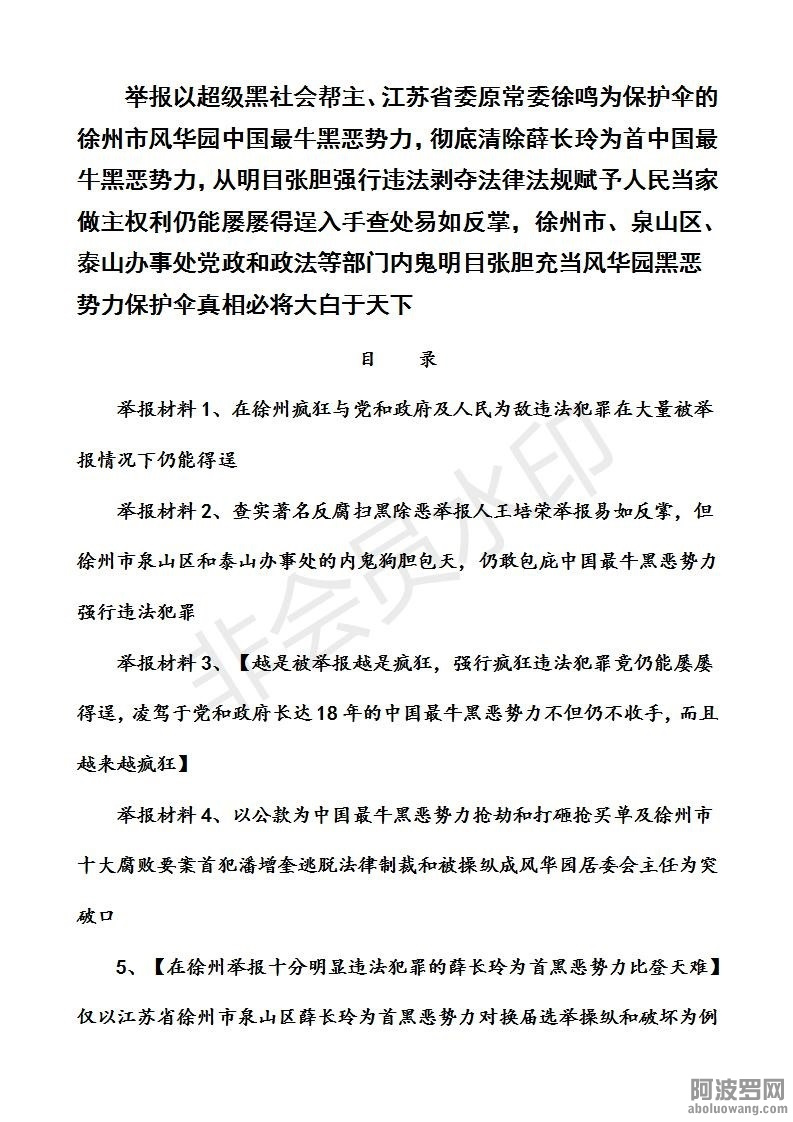 中国最牛黑恶势力举报材料（目录）.jpg