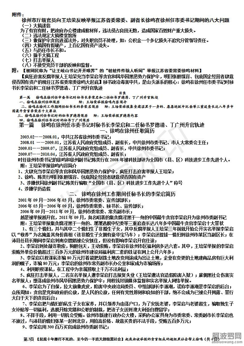 起底由被举报的贪官组成的超级黑社会帮主徐鸣_03.jpg