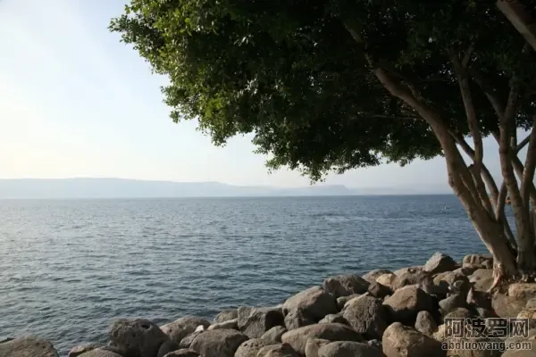 2.webp