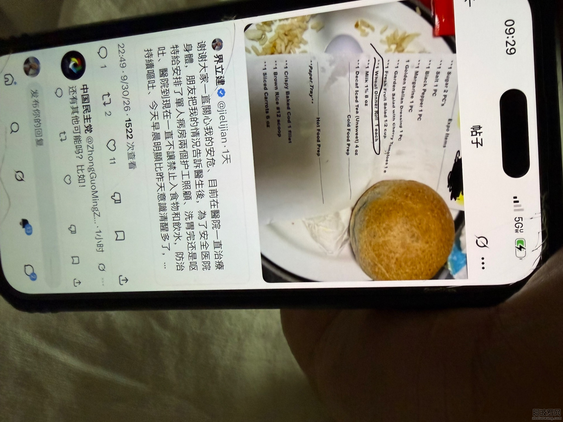 IMG_7997.jpeg