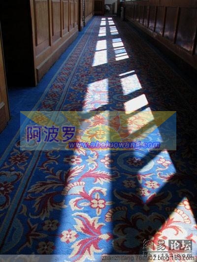 走廊的地板上，铺着华丽的地毯.jpg