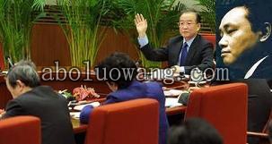 温家宝在北京主持召开国务院第五次全体会议