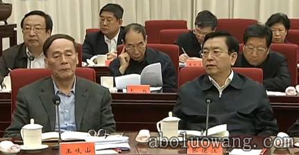 胡锦涛提明年经济工作12字方针  民主党派假座谈会的王岐山张德江